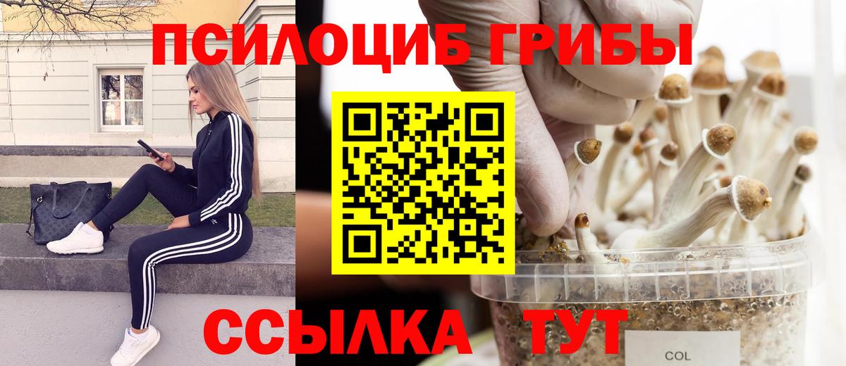 Южноуральск  Галлюциногенные грибы ЛСД  Вход с VPN 
